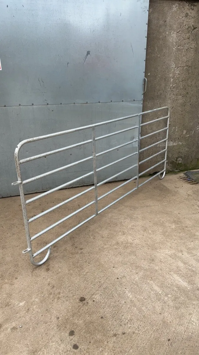 Sheep equipment - Image 3