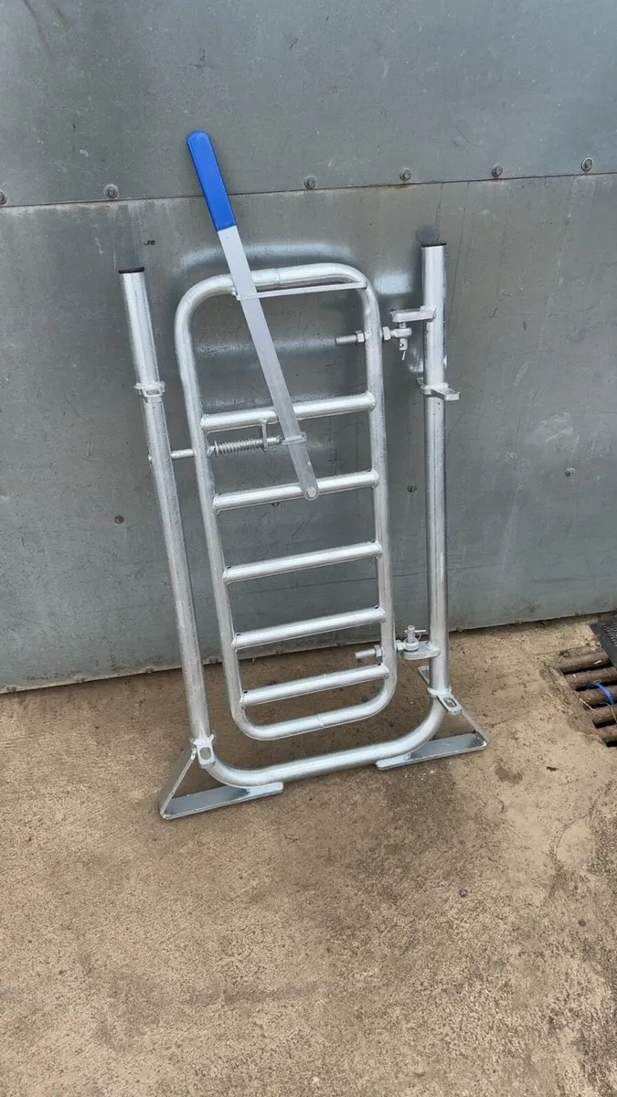 Sheep equipment - Image 4