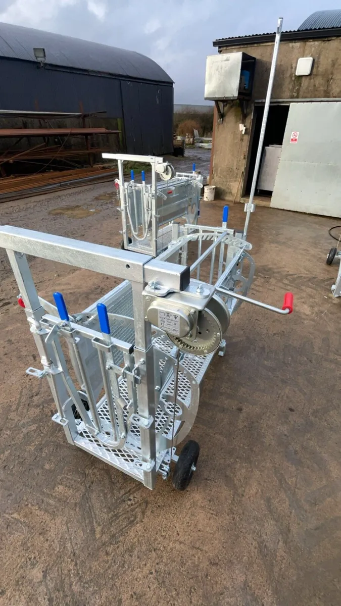 Sheep equipment - Image 1