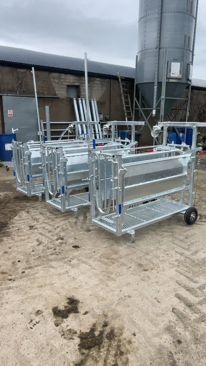 Sheep equipment - Image 2