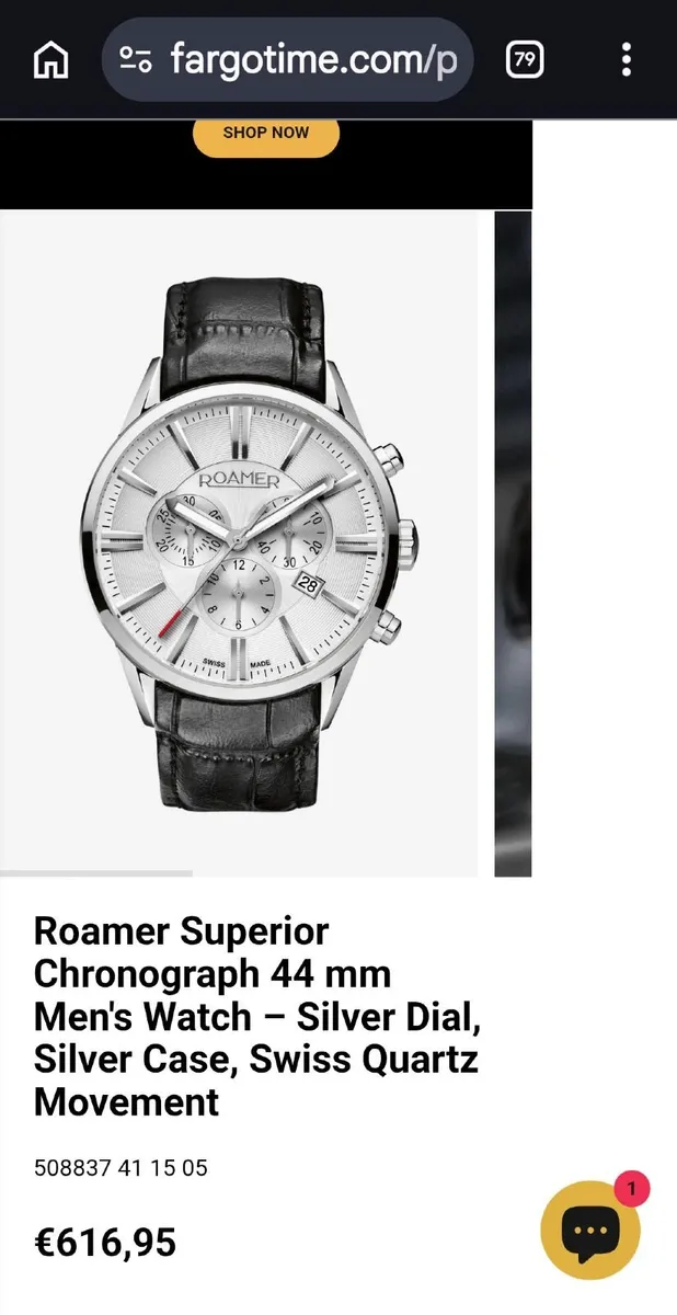 Watch - Image 1