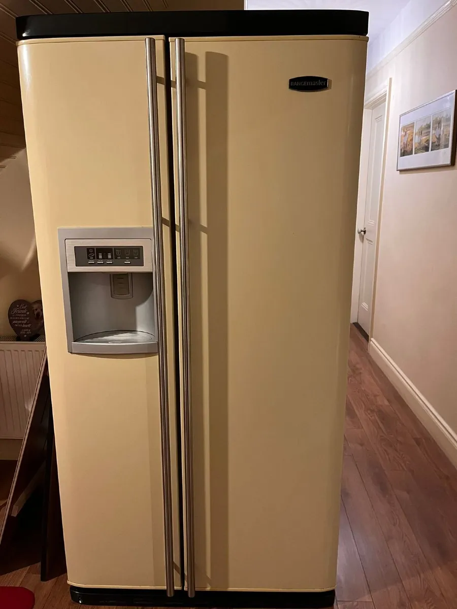 American fridge freezer - Image 4