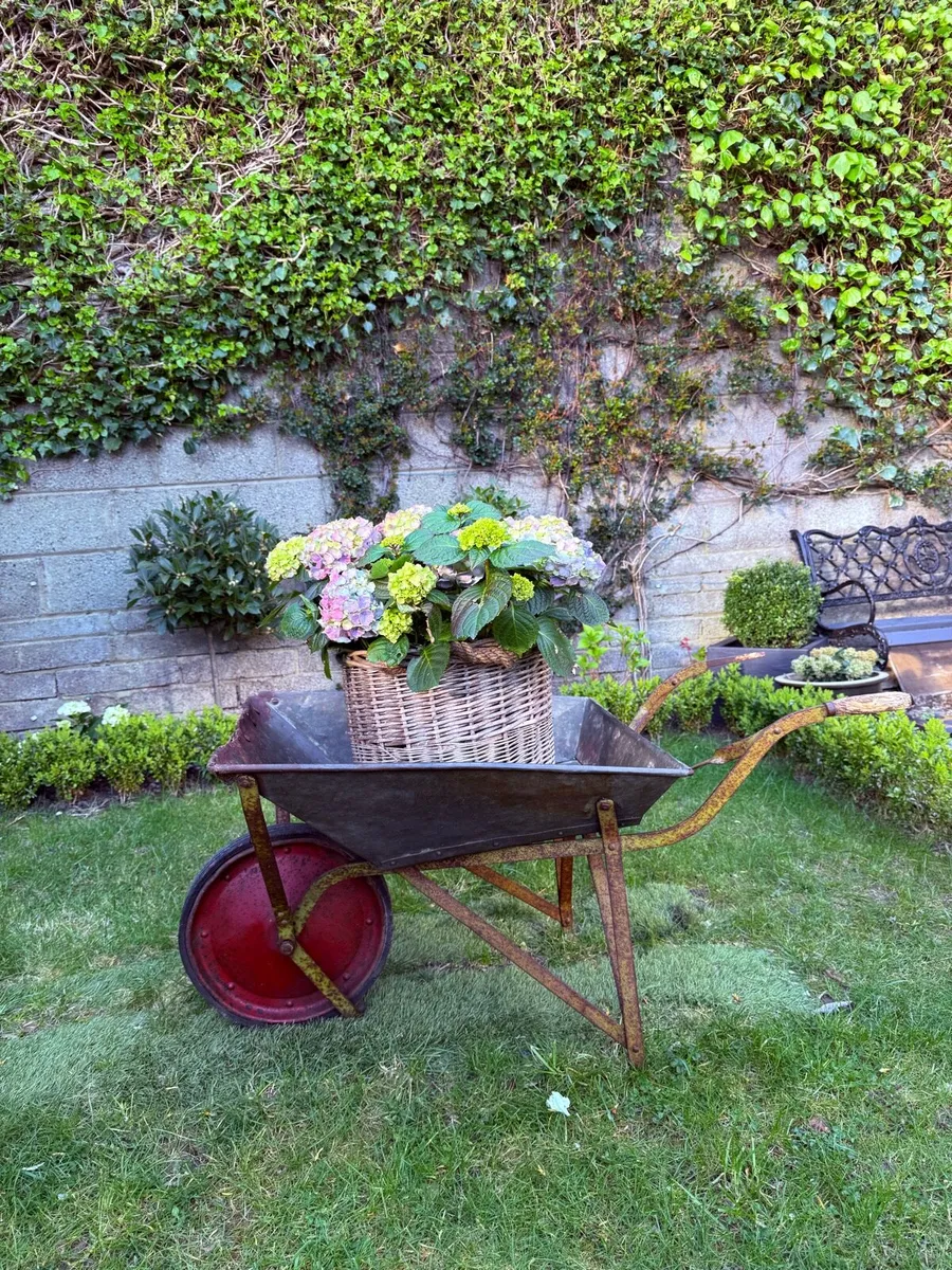 Antique Wheelbarrow - Image 2