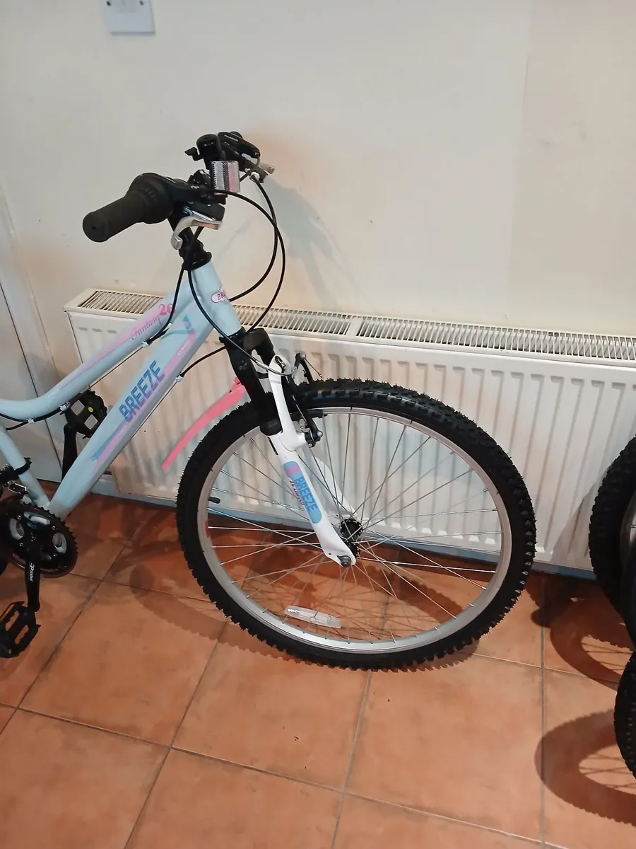 Bicycle - Image 2