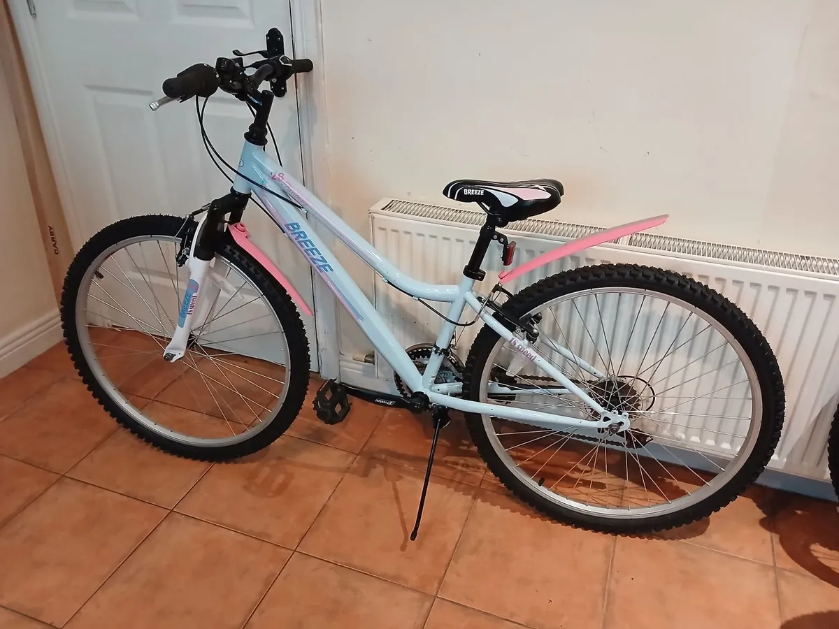 Bicycle - Image 1
