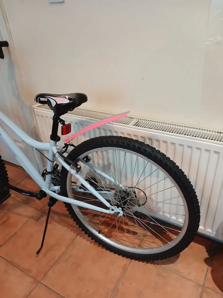 Bicycle - Image 4