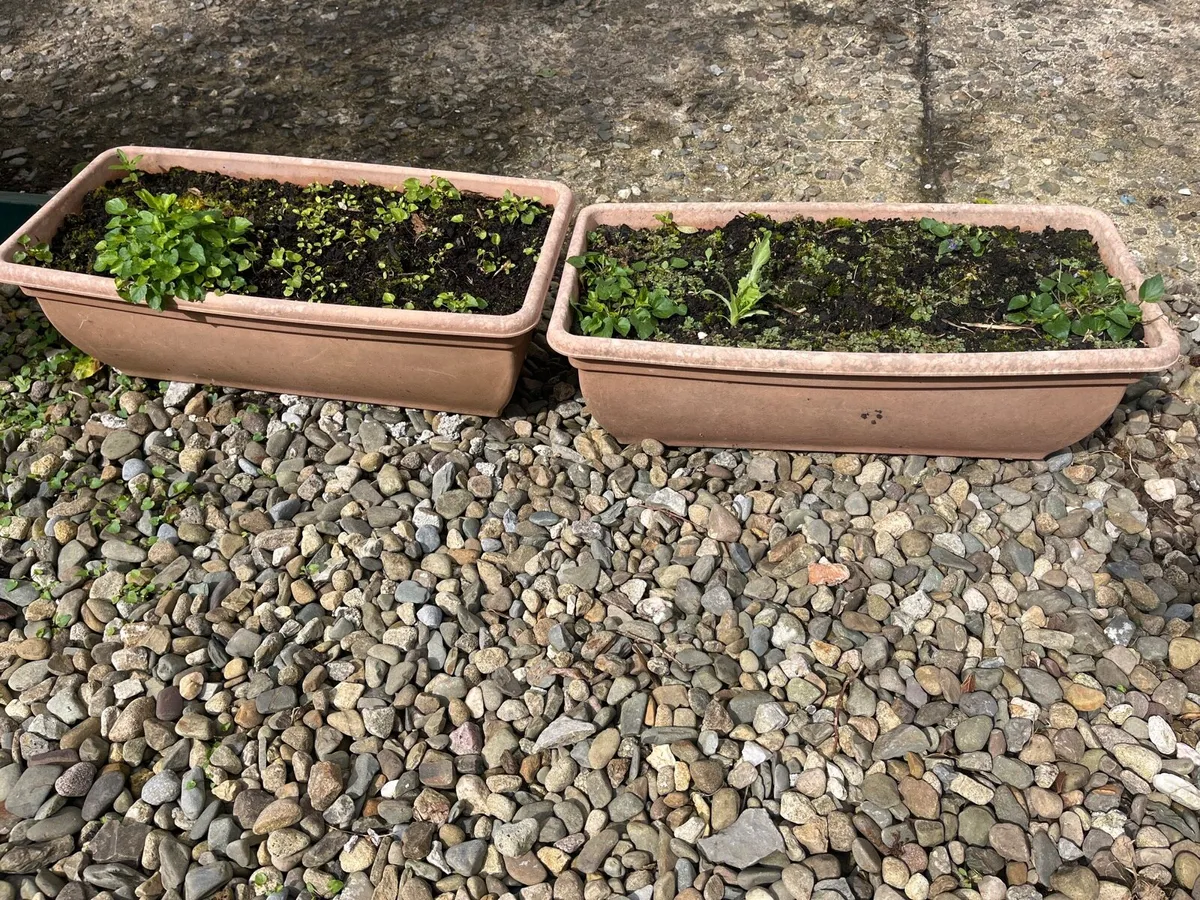 Two big pots with soil - Image 3