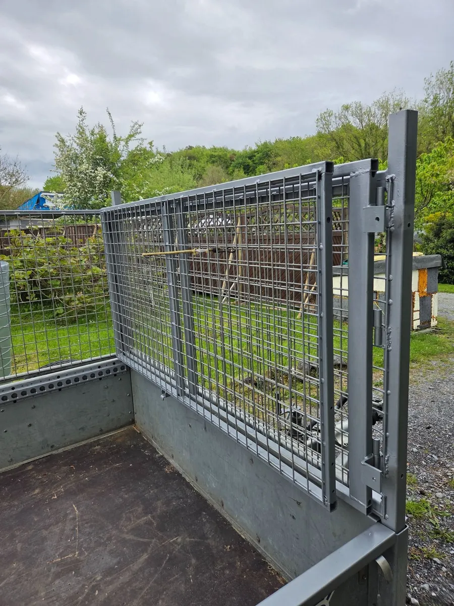 Ifor Williams Trailer 10x5 special - Image 3