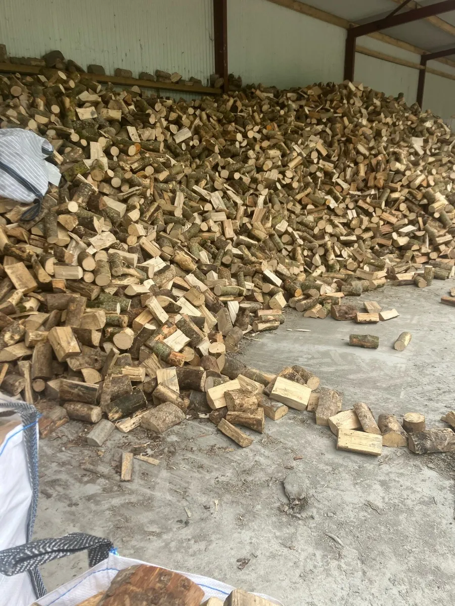 Firewood - Image 1