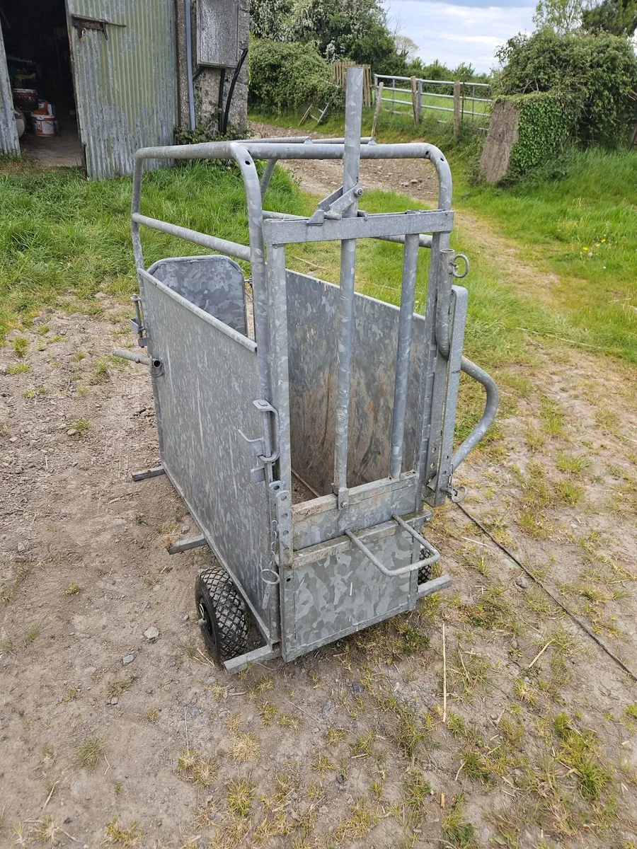 Calf De-horning crate - Image 2