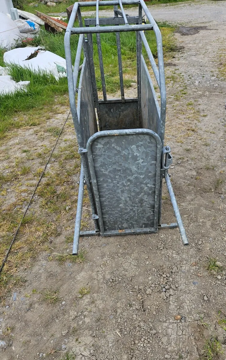 Calf De-horning crate - Image 1