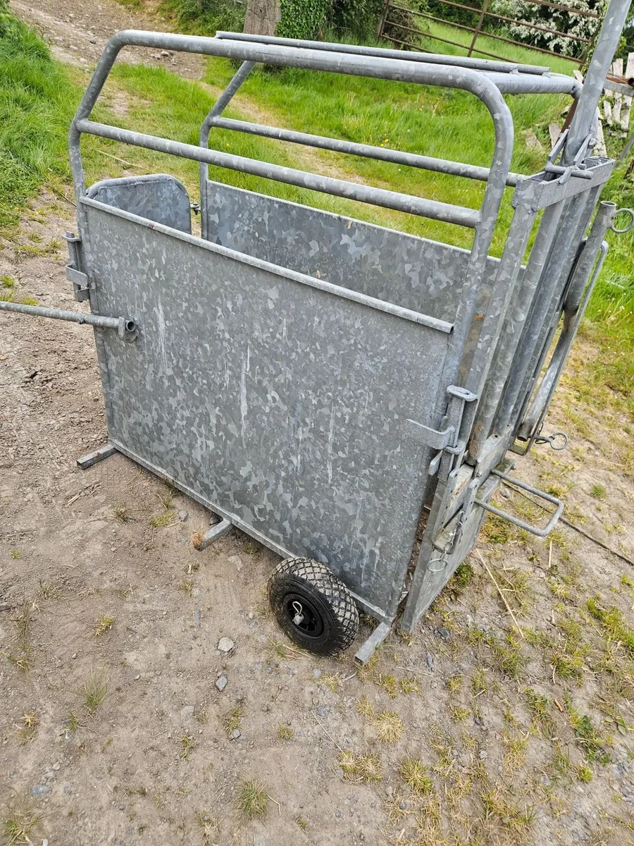 Calf De-horning crate - Image 4