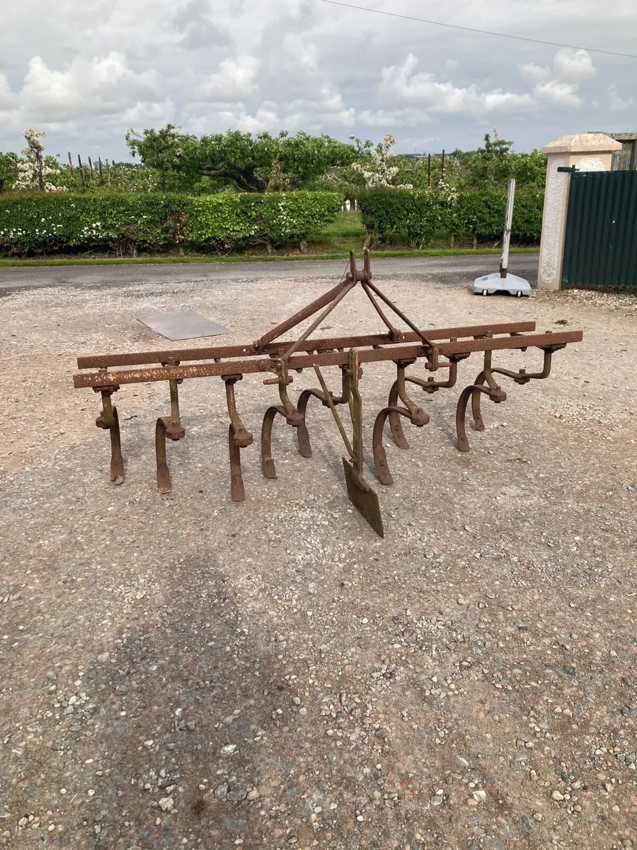 Ferguson spring tine grubber. - Image 1