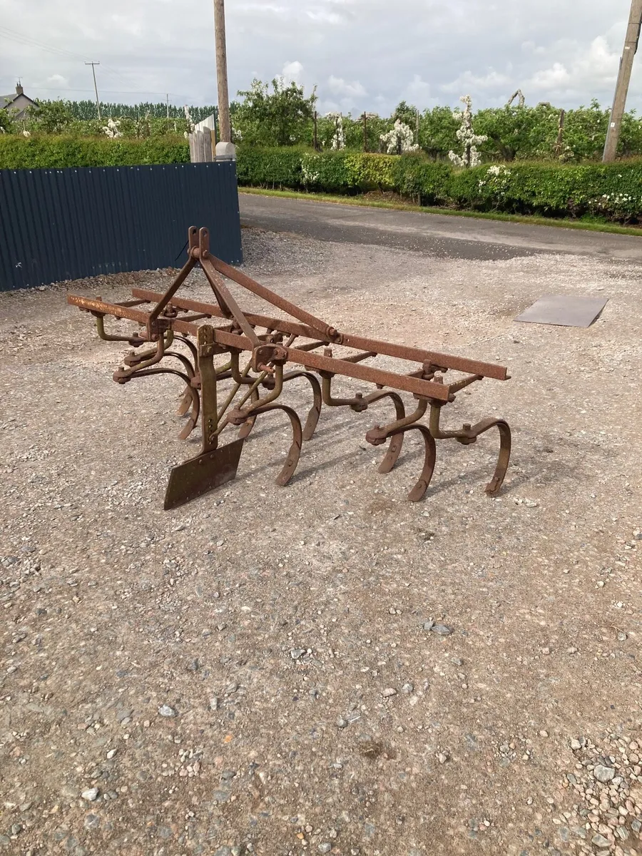 Ferguson spring tine grubber. - Image 2