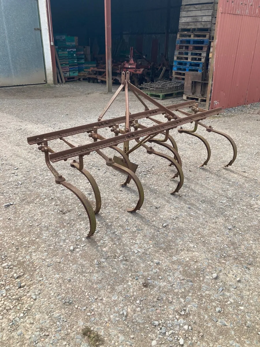 Ferguson spring tine grubber. - Image 4
