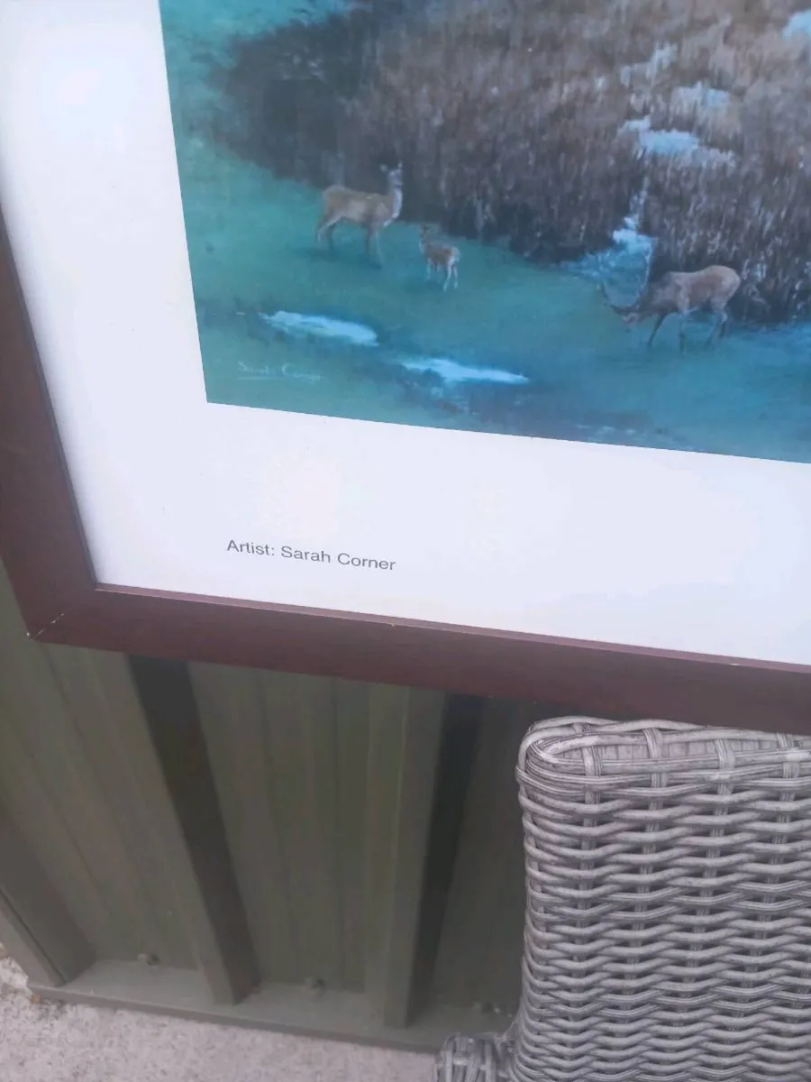 Framed print of Killarney Lakes, D18 - Image 4