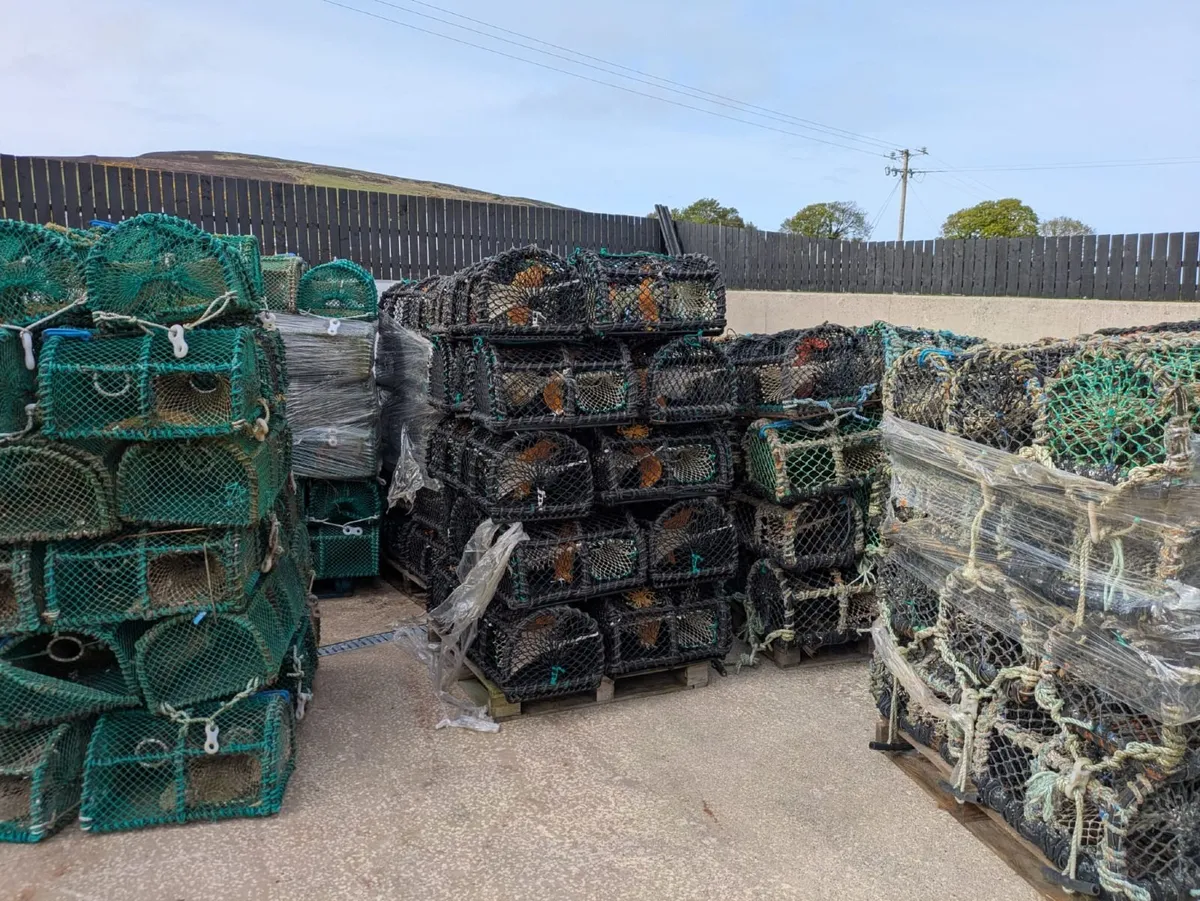 Lobster, crab and green crab pots for sale - Image 2