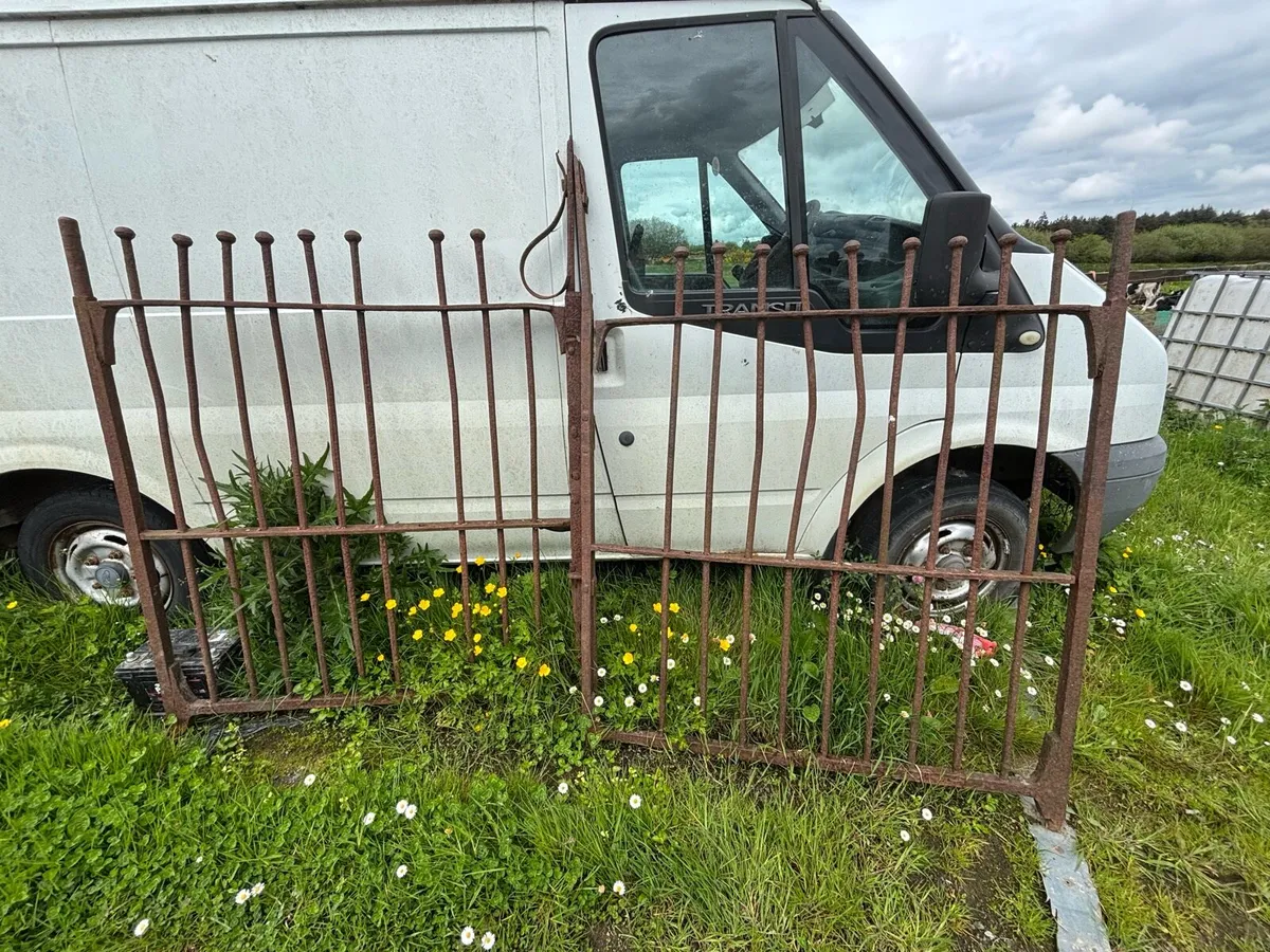 gate - Image 1