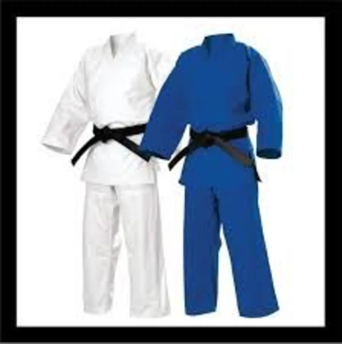 Judo Lessons Wanted