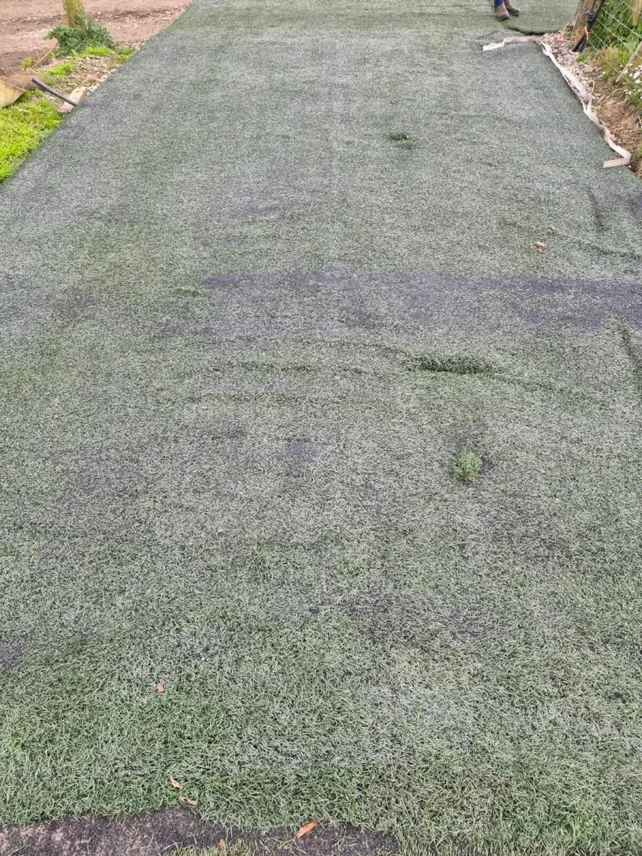 Astro Turf - Image 4