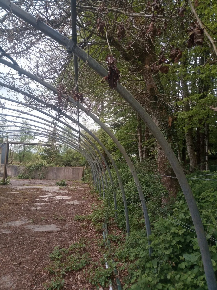 Poly Tunnel  Commercial (mushrooms) - Image 1