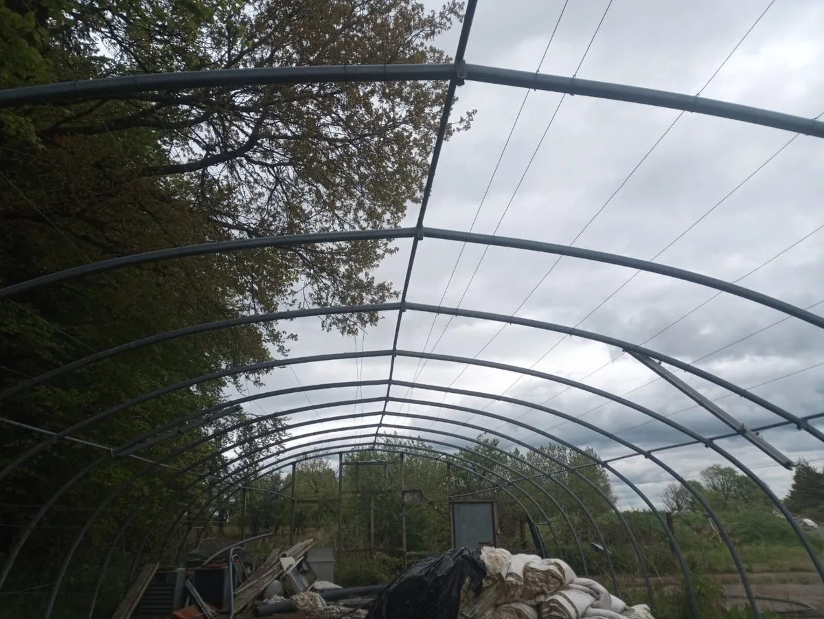 Poly Tunnel  Commercial (mushrooms) - Image 4