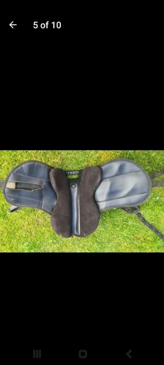 pony saddle - Image 4