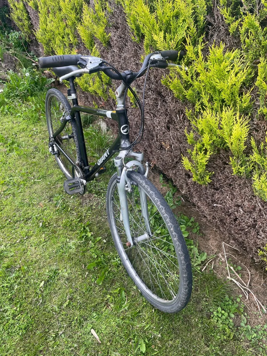 Giant Bike Cypress - Image 4