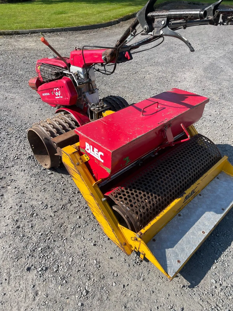 Lawn Seeding - Image 1