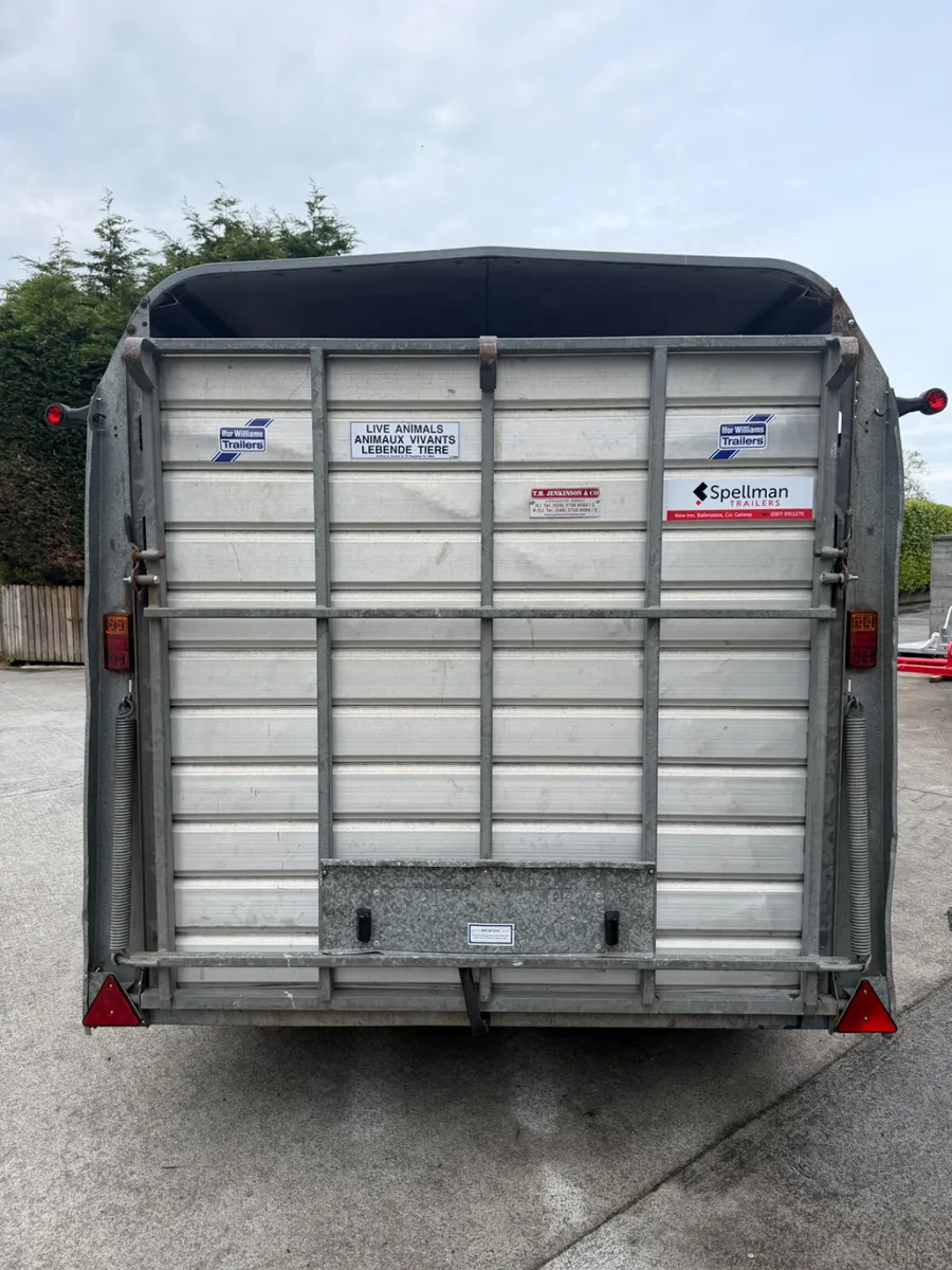 Ifor Williams livestock trailer - Image 4