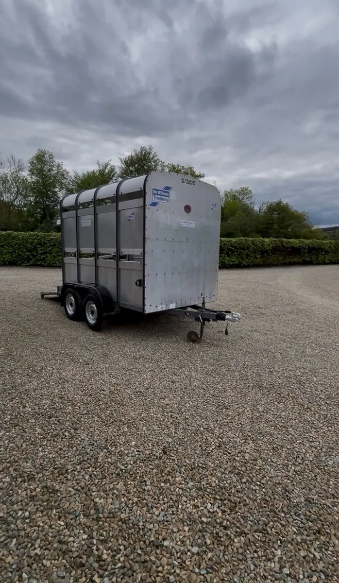 Ifor Williams 8x5 Cattle trailer - Image 1