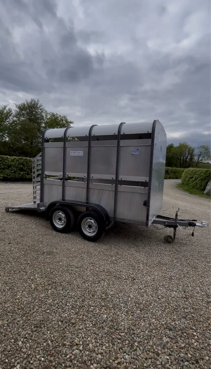 Ifor Williams 8x5 Cattle trailer - Image 2
