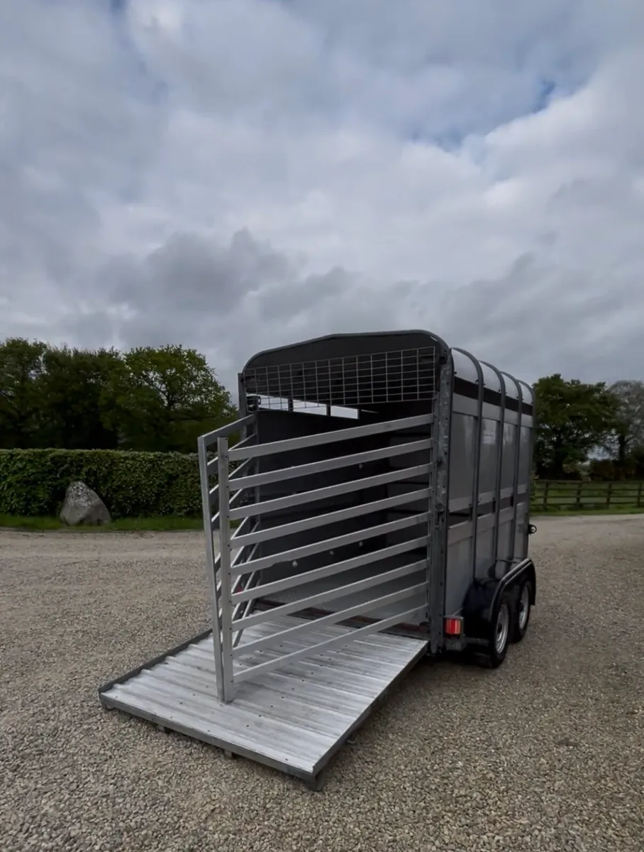 Ifor Williams 8x5 Cattle trailer - Image 3