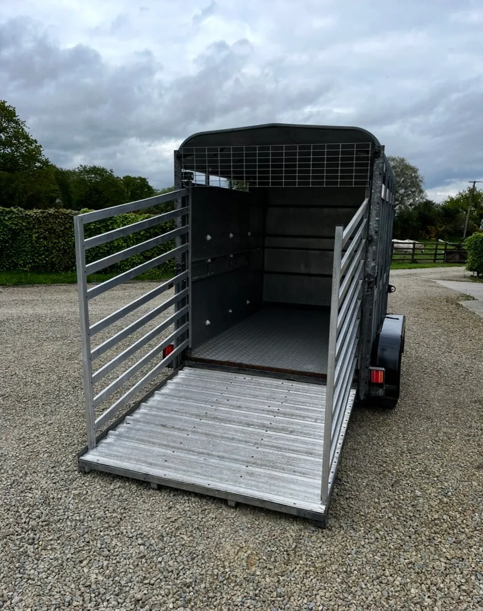Ifor Williams 8x5 Cattle trailer - Image 4
