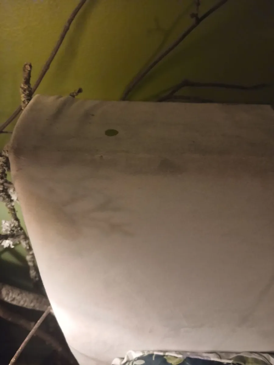 Bed frame - Image 3