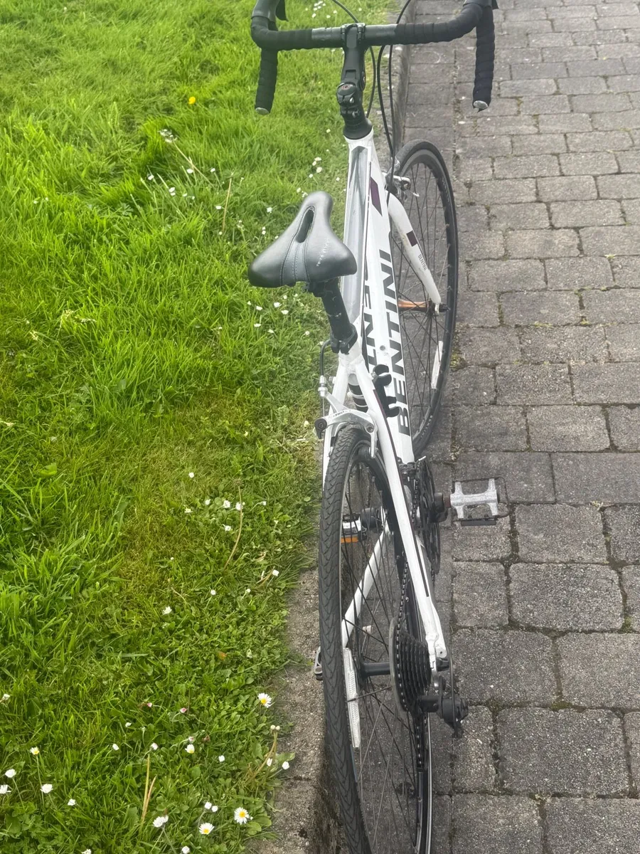 Bikes - Image 2