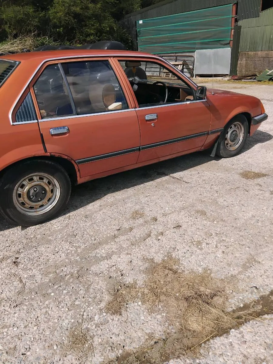 Vauxhall Carlton - Image 3