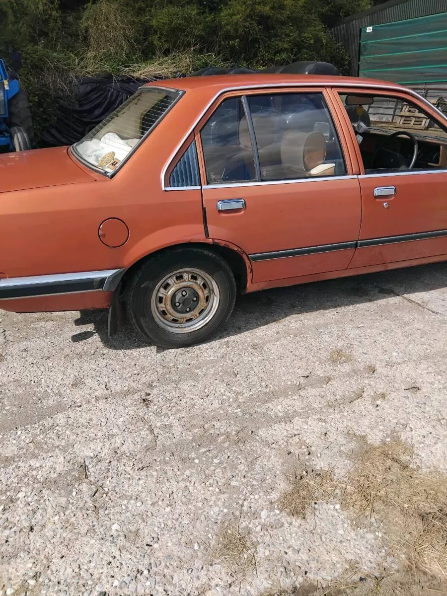 Vauxhall Carlton - Image 2