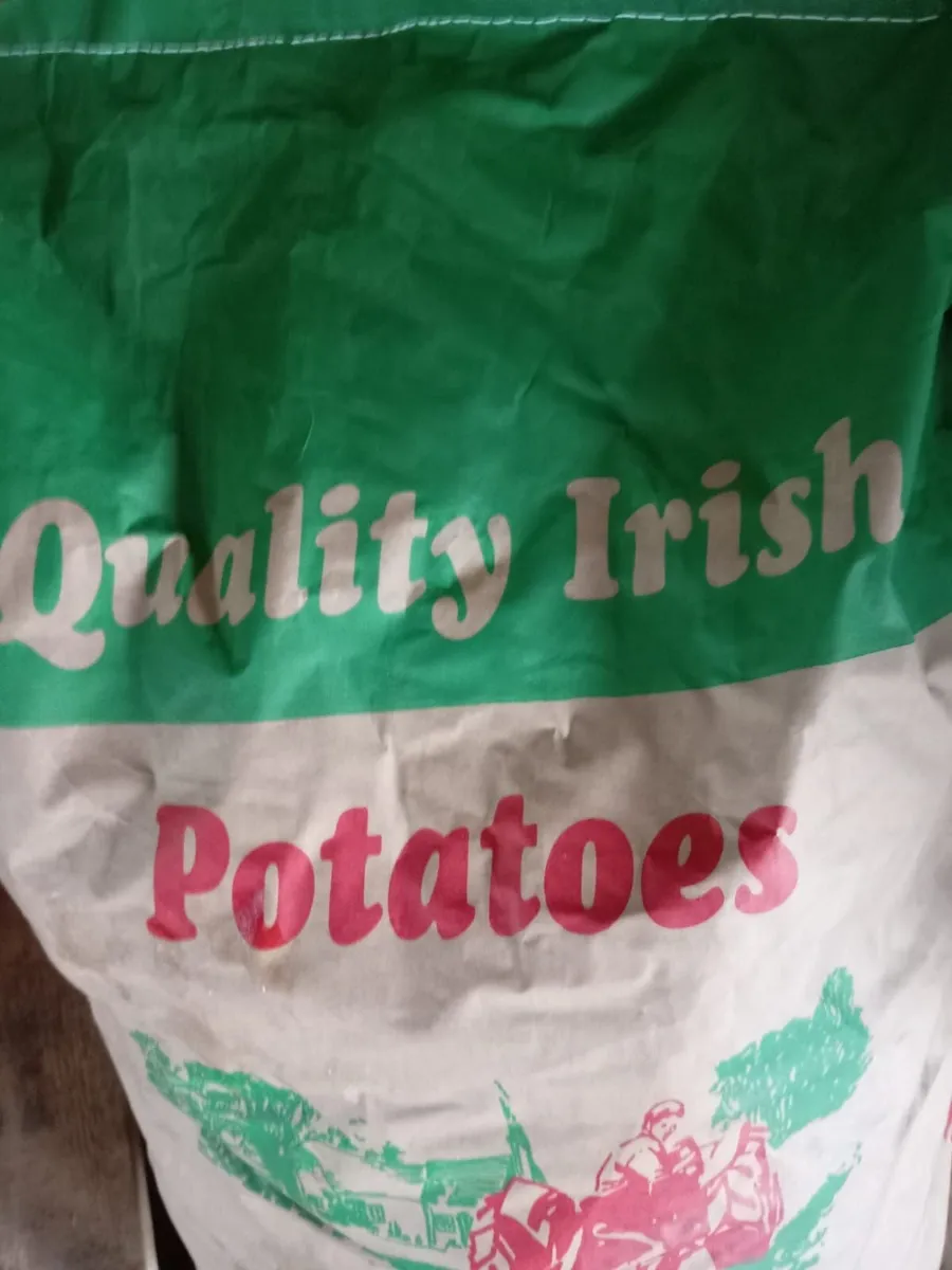 Certified Seed Potatoes - Image 2