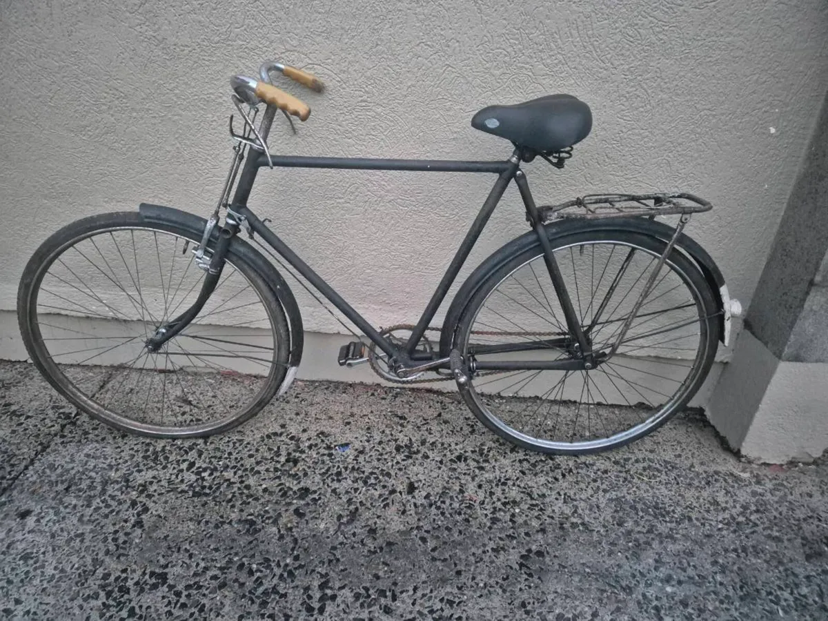 Hi Nelly  bike - Image 1