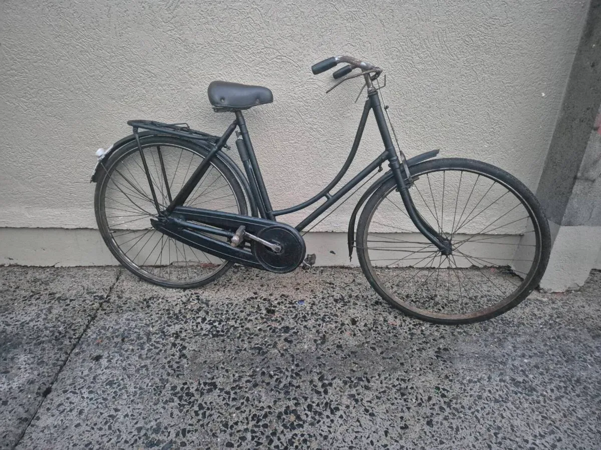 Hi Nelly  bike - Image 1