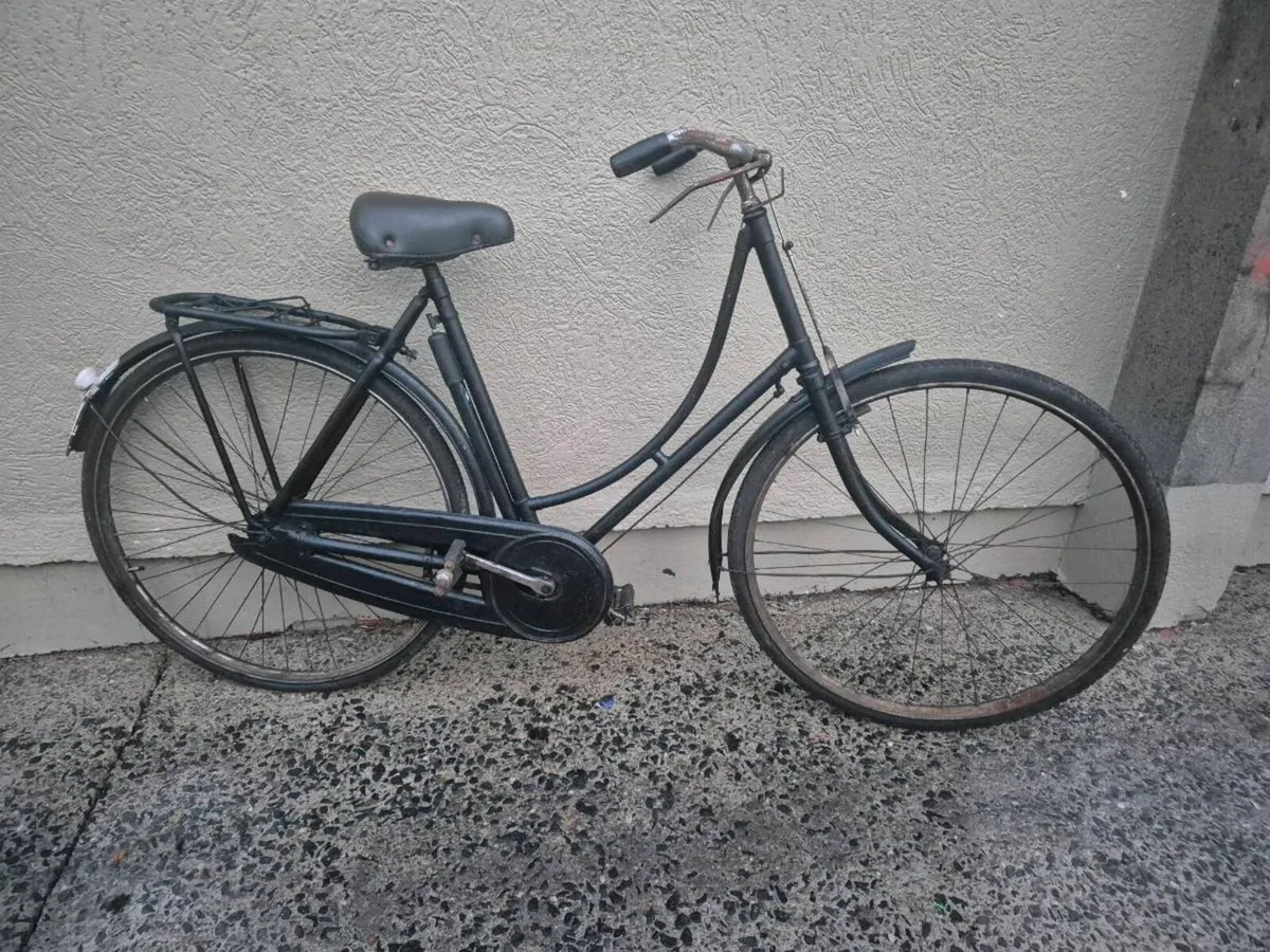 Hi Nelly  bike - Image 3