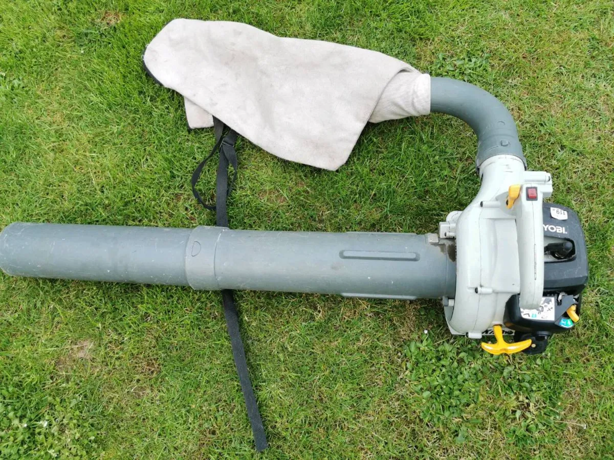 Ryobi vacuum/blower - Image 1