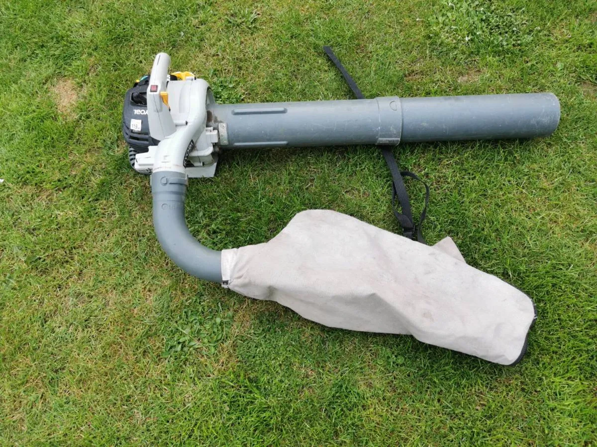 Ryobi vacuum/blower - Image 2