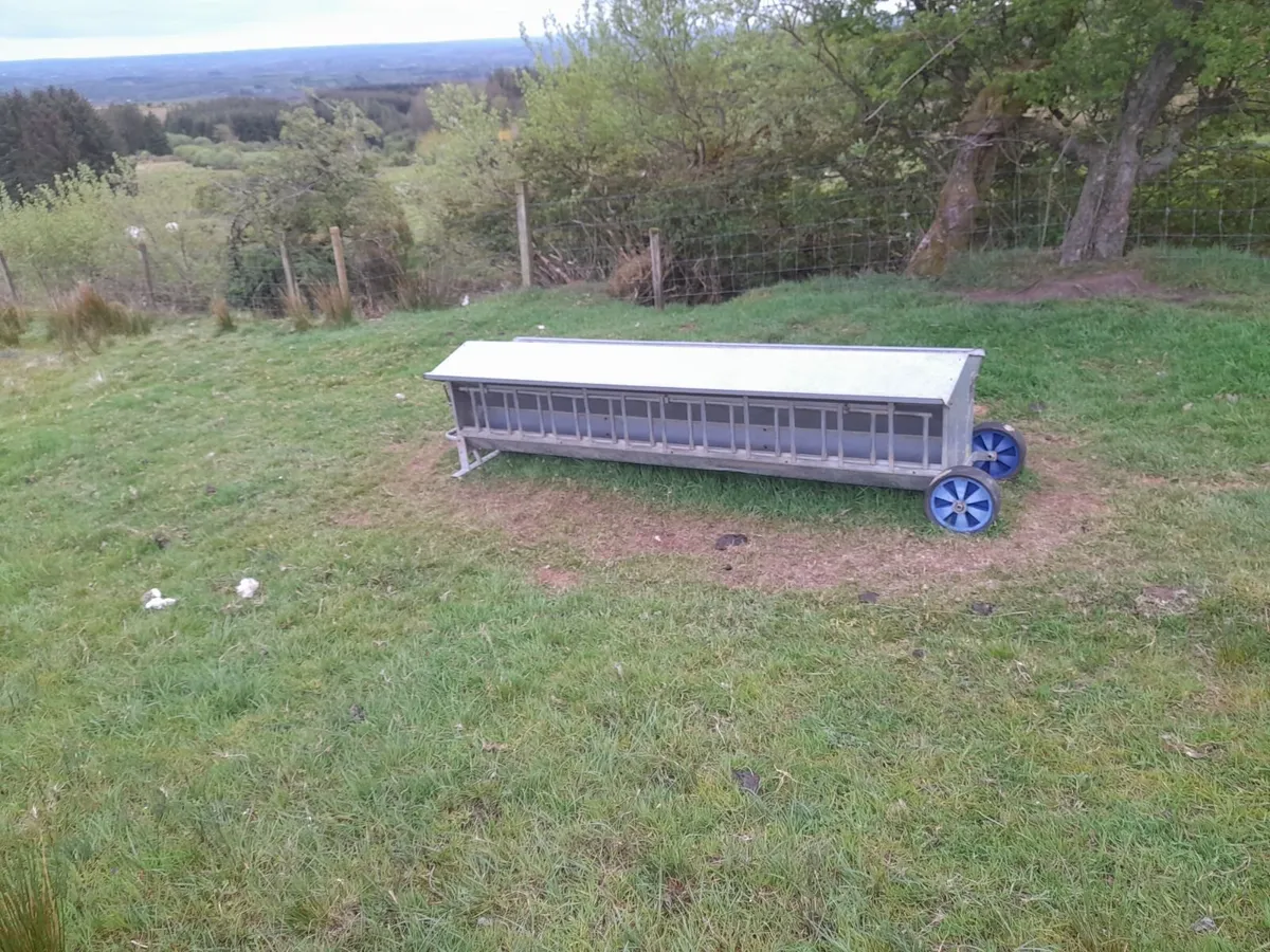 Sheep creep feeder - Image 3