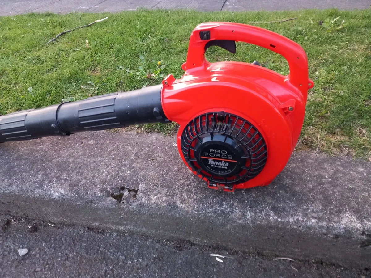 Blower - Image 1