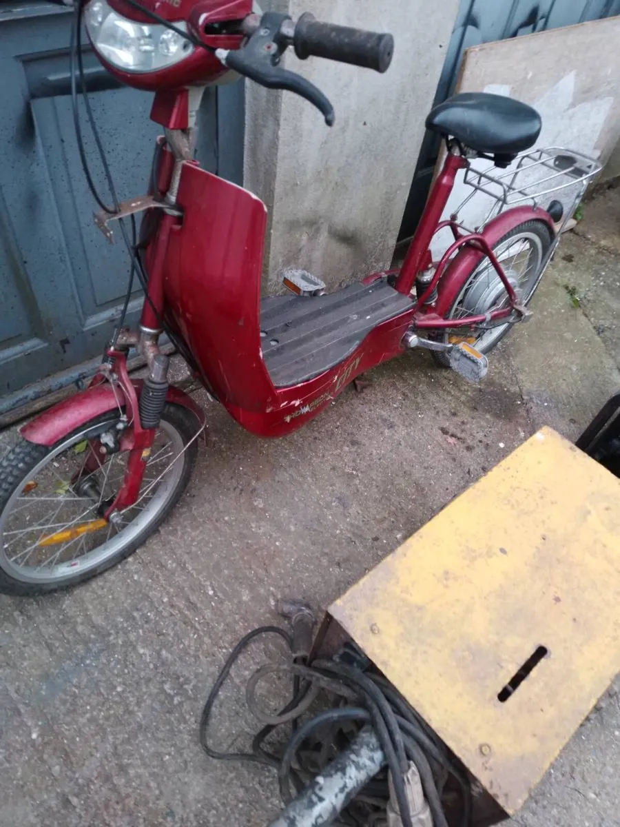 Shed clear out - Image 4