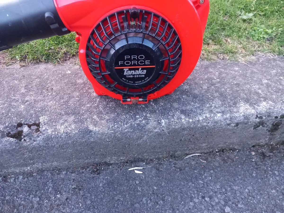 Blower - Image 2