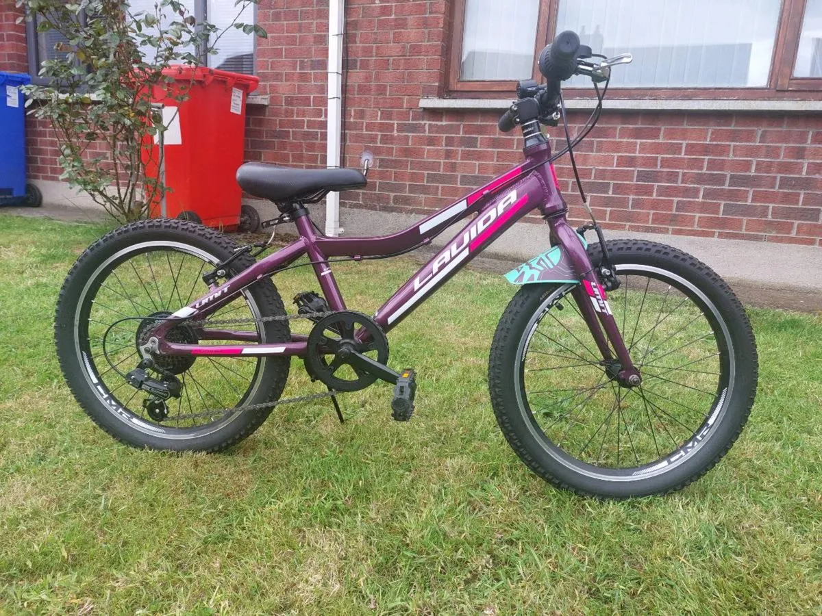 Kids LaVida 20" Moutain Bike Shimano 6-speed - Image 1