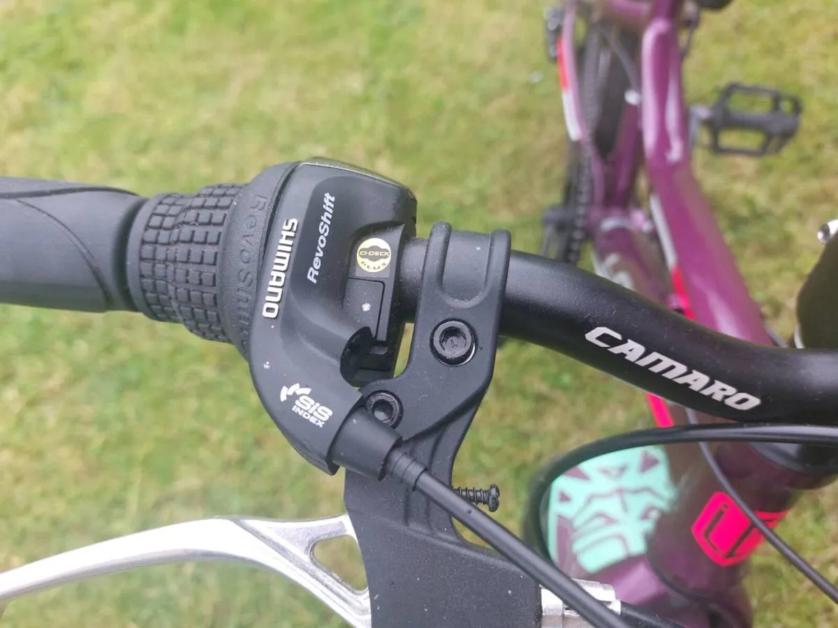 Kids LaVida 20" Moutain Bike Shimano 6-speed - Image 3